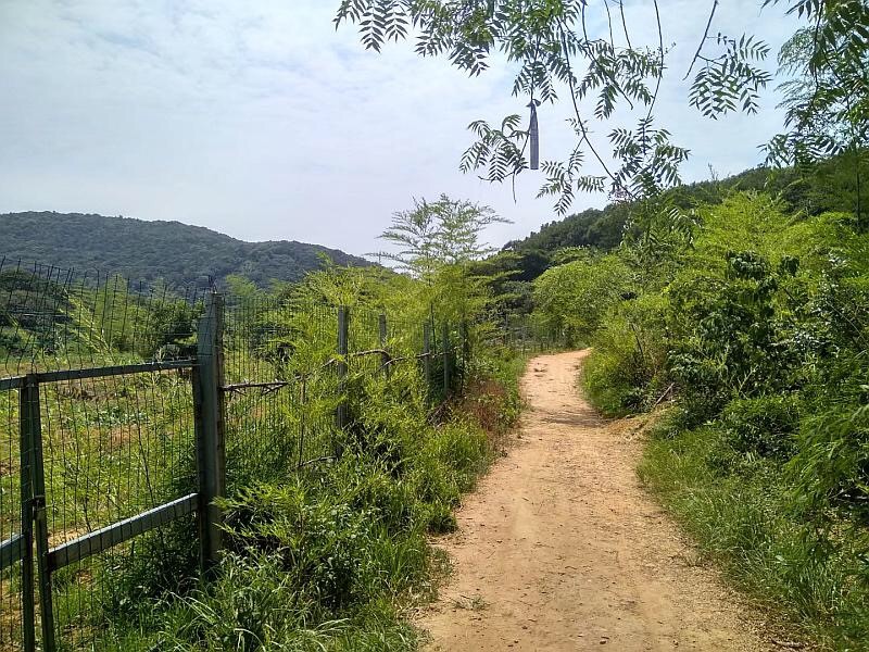 花季APP下载安装廠家軍嶂古道