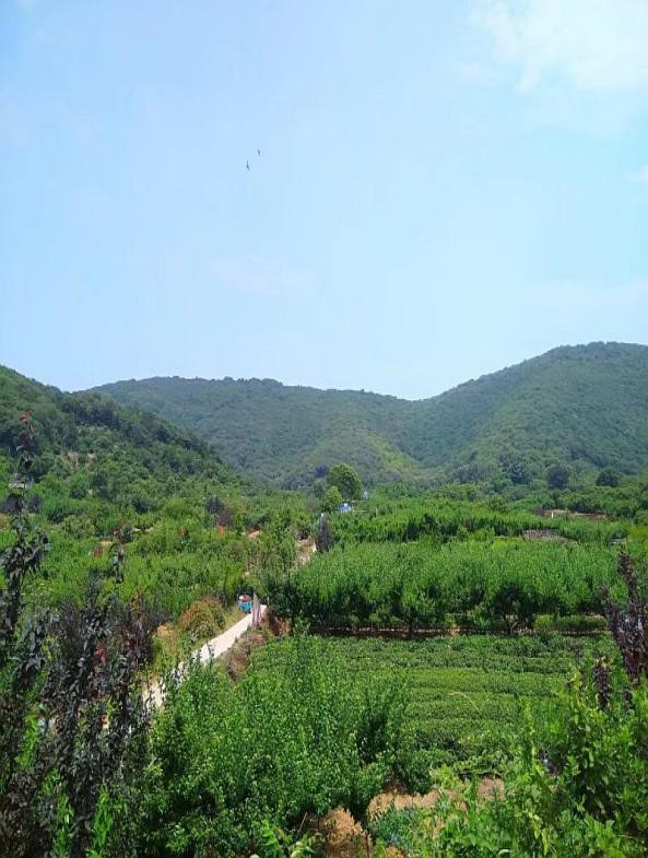 花季APP下载安装廠家軍嶂古道