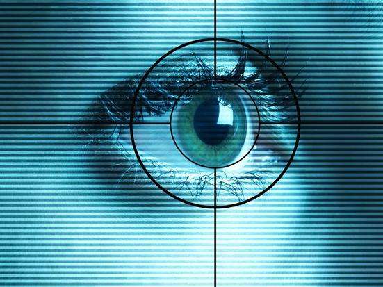 花季APP下载安装网站